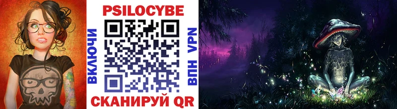 Купить где  Талдом  Псилоцибиновые грибы прущие грибы 